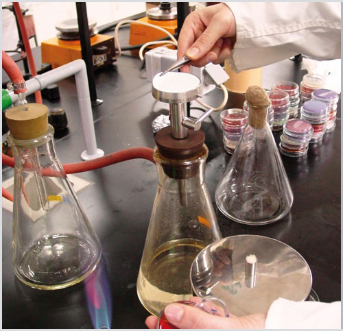 DOVERAL 10 / tecnología del tratamiento en masa