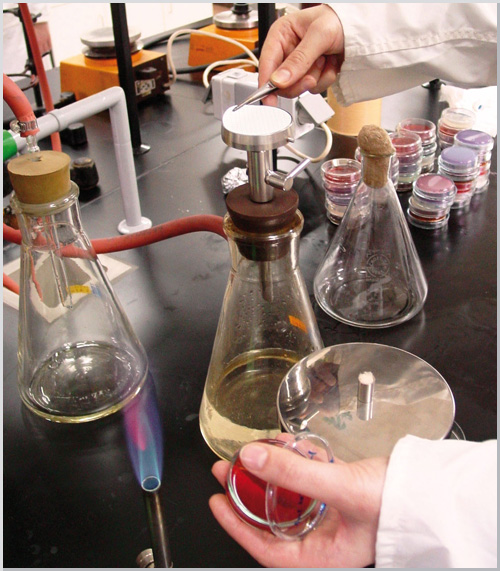 DOVERAL 10 / tecnología del tratamiento en masa